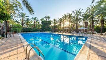 Une piscine rectangulaire à l’eau d’un bleu cristallin, entourée de palmiers et de chaises longues.