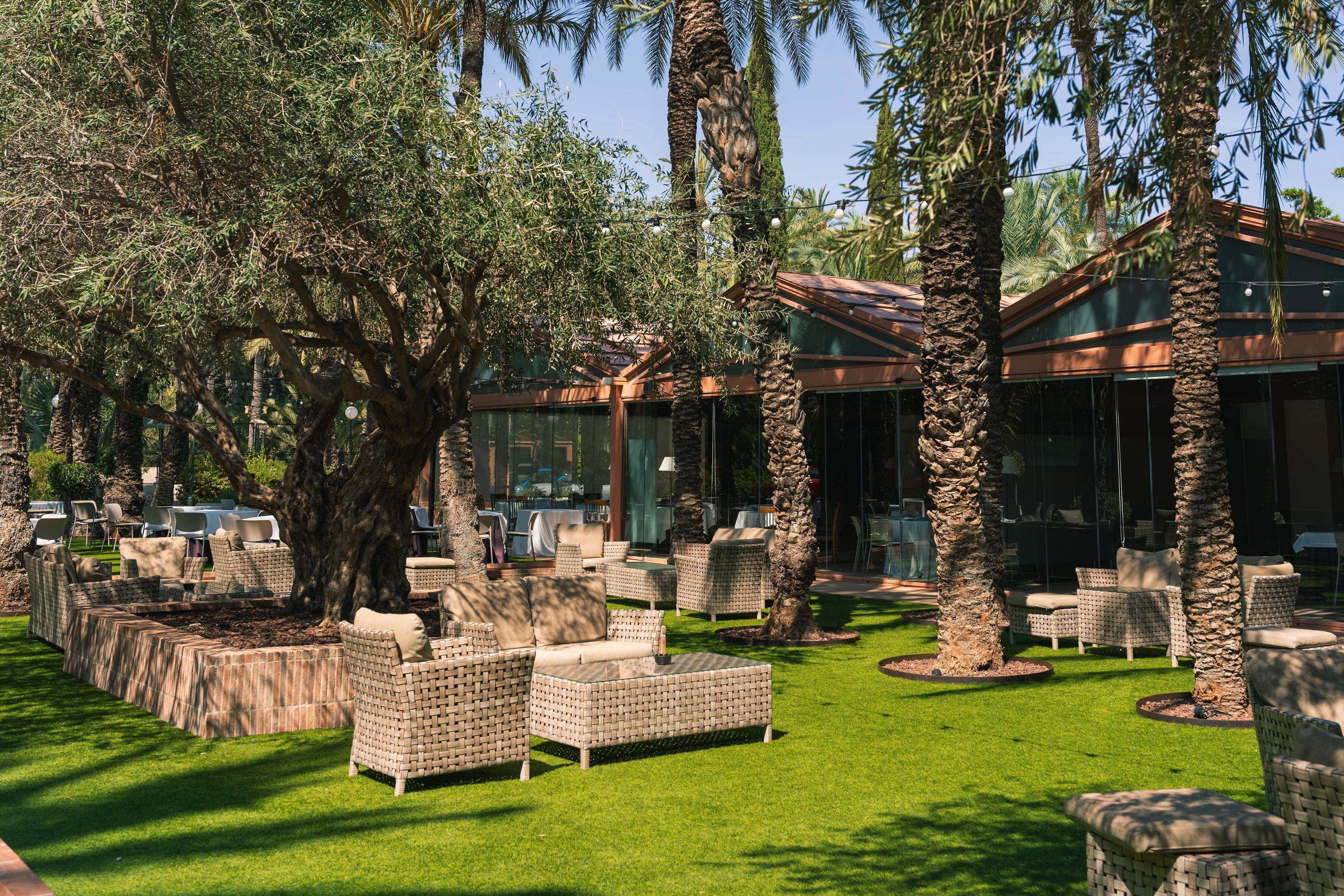 An outdoor seating area with wicker furniture and palm trees.