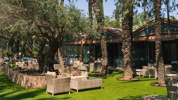 An outdoor seating area with wicker furniture and palm trees.