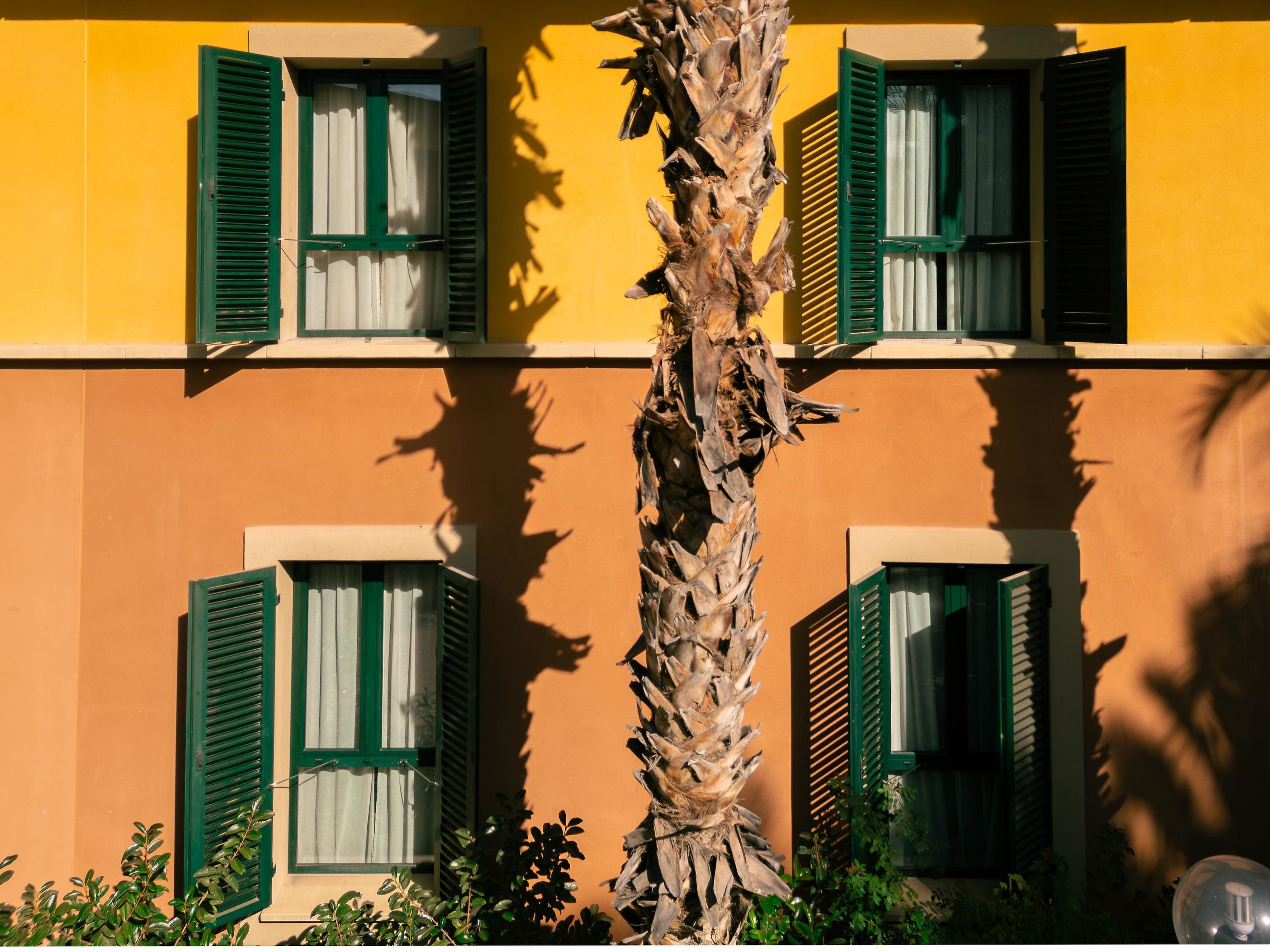 A building with two windows, each with green shutters and white curtains.