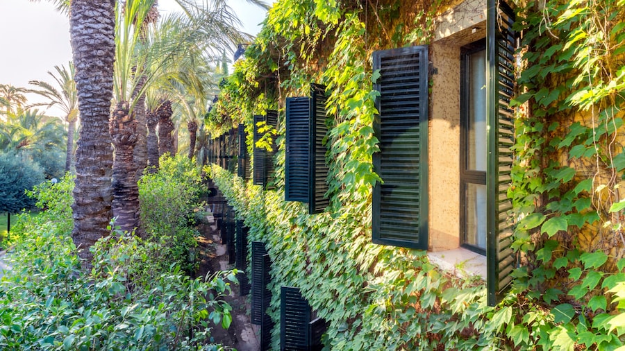Hotel Port Jardín Milenio