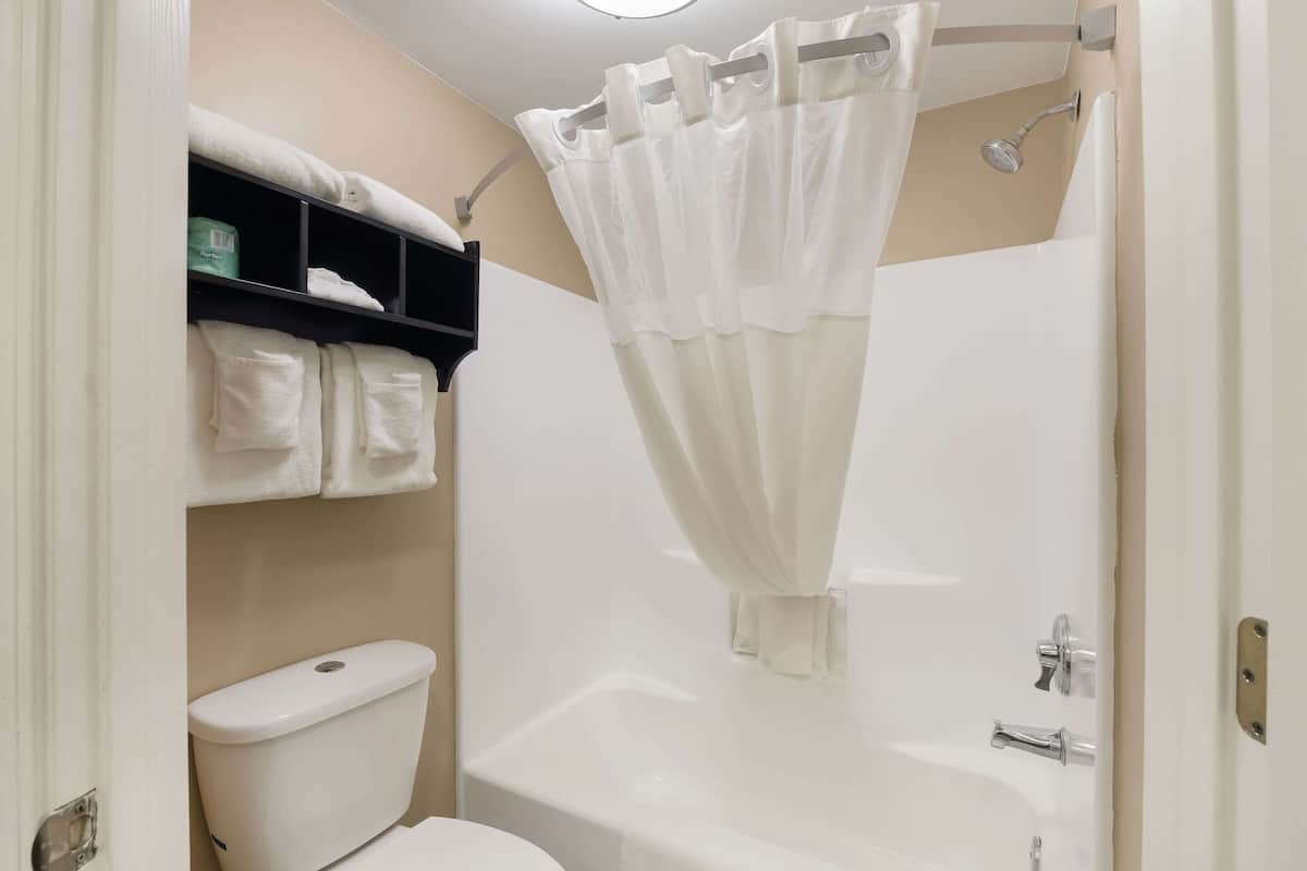 free toiletries, hair dryer, towels, soap