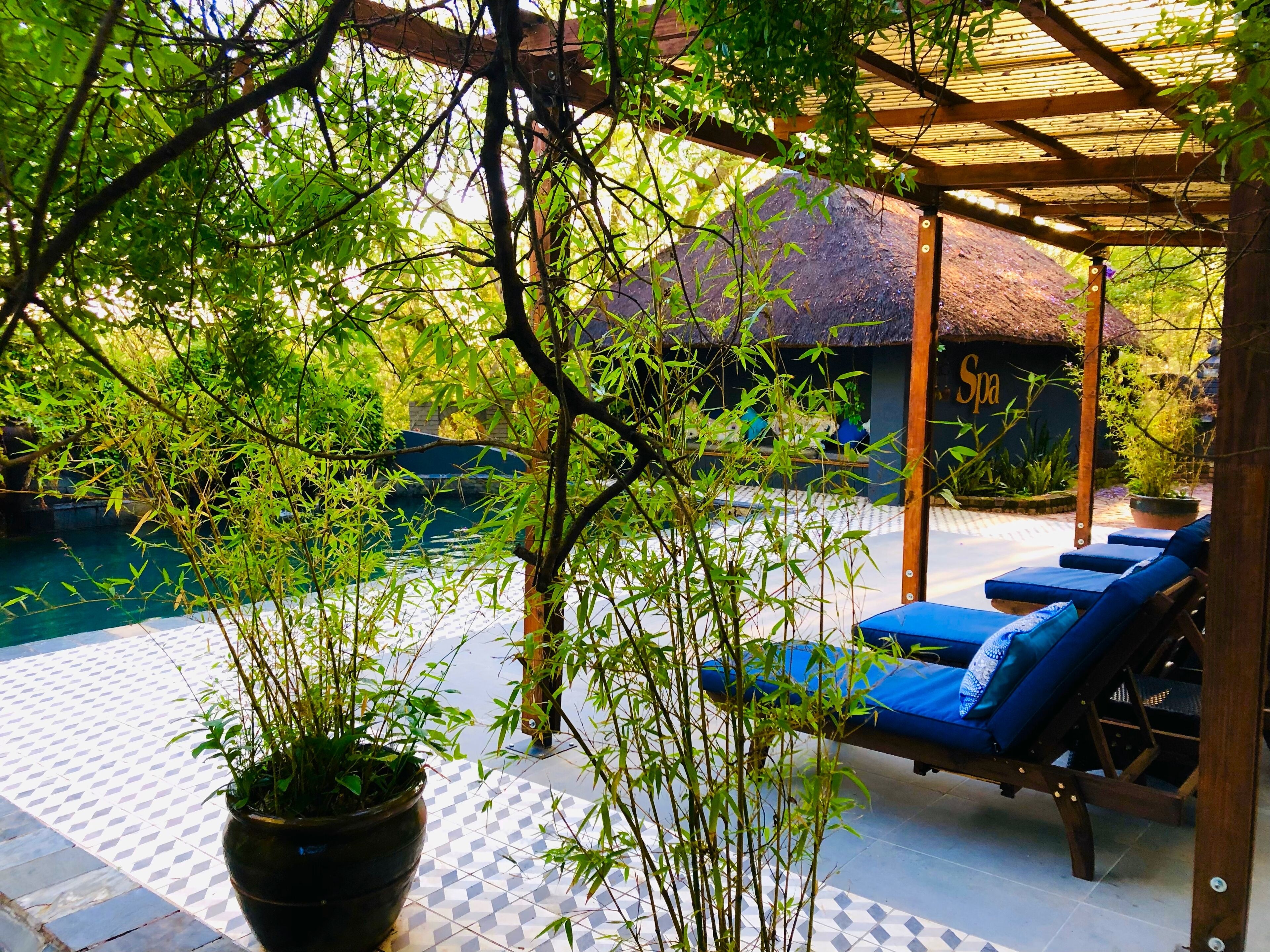 Alberca al aire libre, sombrillas en la alberca y camastros 