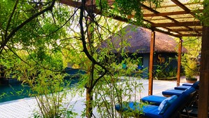 Un espace extérieur abrité comprenant une piscine, des chaises longues et des plantes en pot.
