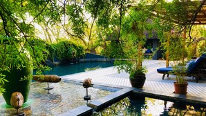 Un espace piscine intérieure paisible, avec un chemin en pierre, entouré d’une végétation luxuriante et de plantes en pot.