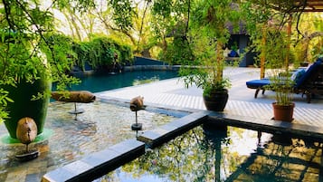 Outdoor pool, pool umbrellas, pool loungers