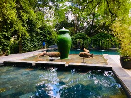 Una piscina al aire libre, sombrillas, sillones reclinables de piscina