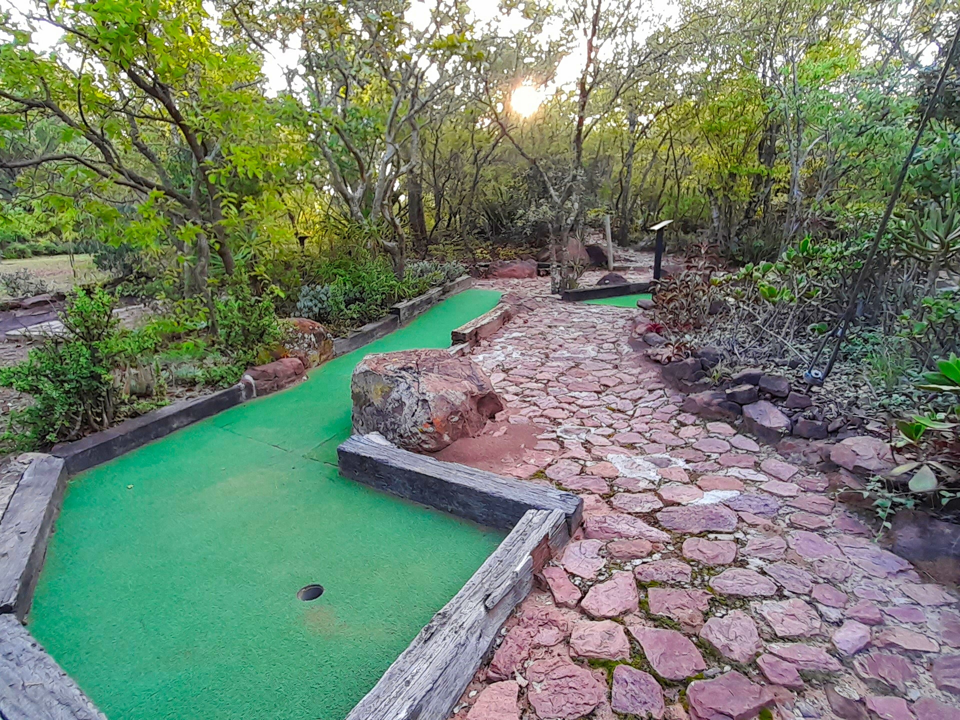 Mini-golf