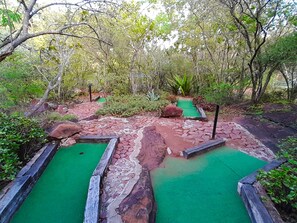 Mini-golf