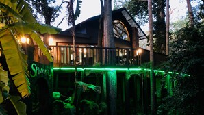 Une cabane perchée dans un arbre, dotée d’un balcon, entourée d’une végétation luxuriante et illuminée de lumières vertes.