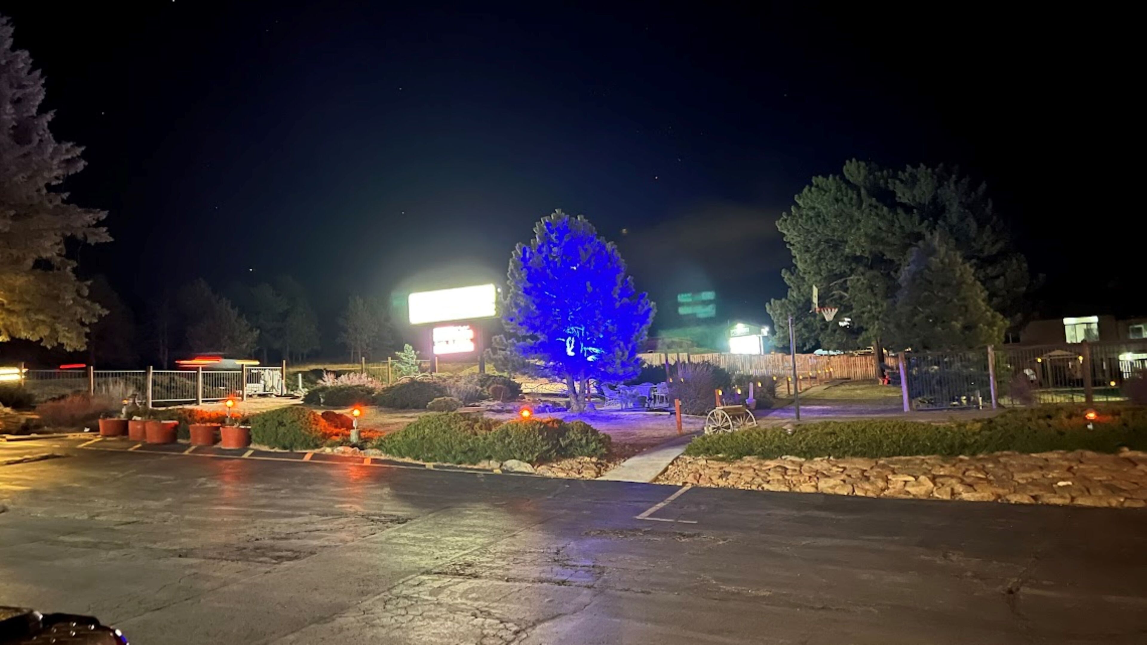 Een parkeerplaats met een boom verlicht in blauw, een basketbalring en een gebouw met een verlicht bord op de achtergrond.