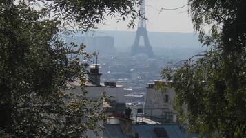 Vista de la Torre Eiffel entre follaje, con edificios y tejados en primer plano.