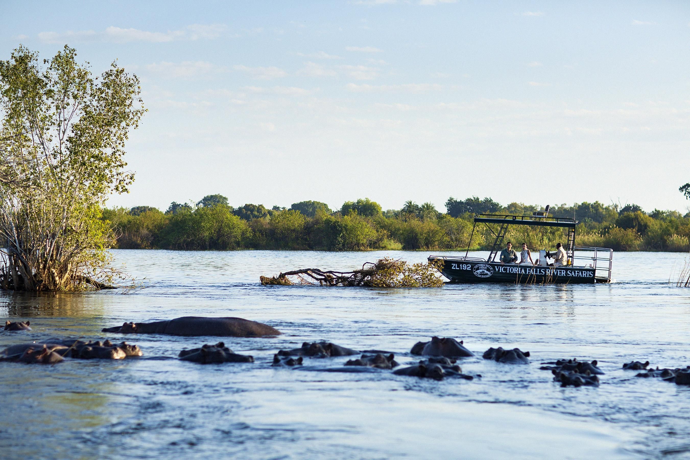 A boat named 'Victoria Falls River Safari' on a river with trees and rocks in the foreground.