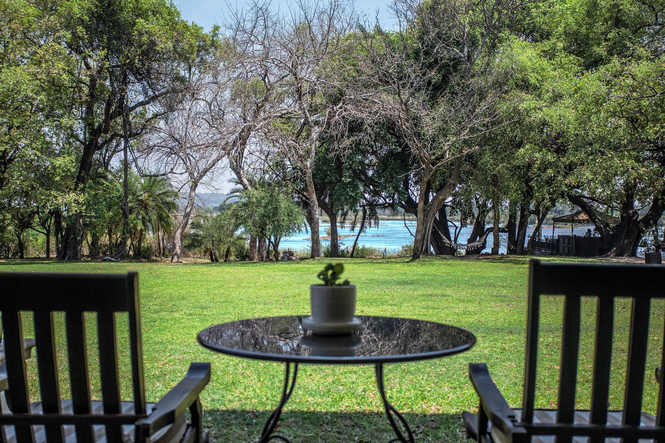 A view of a grassy area with two wooden chairs and a small table with a potted plant, overlooking a body of water and trees.