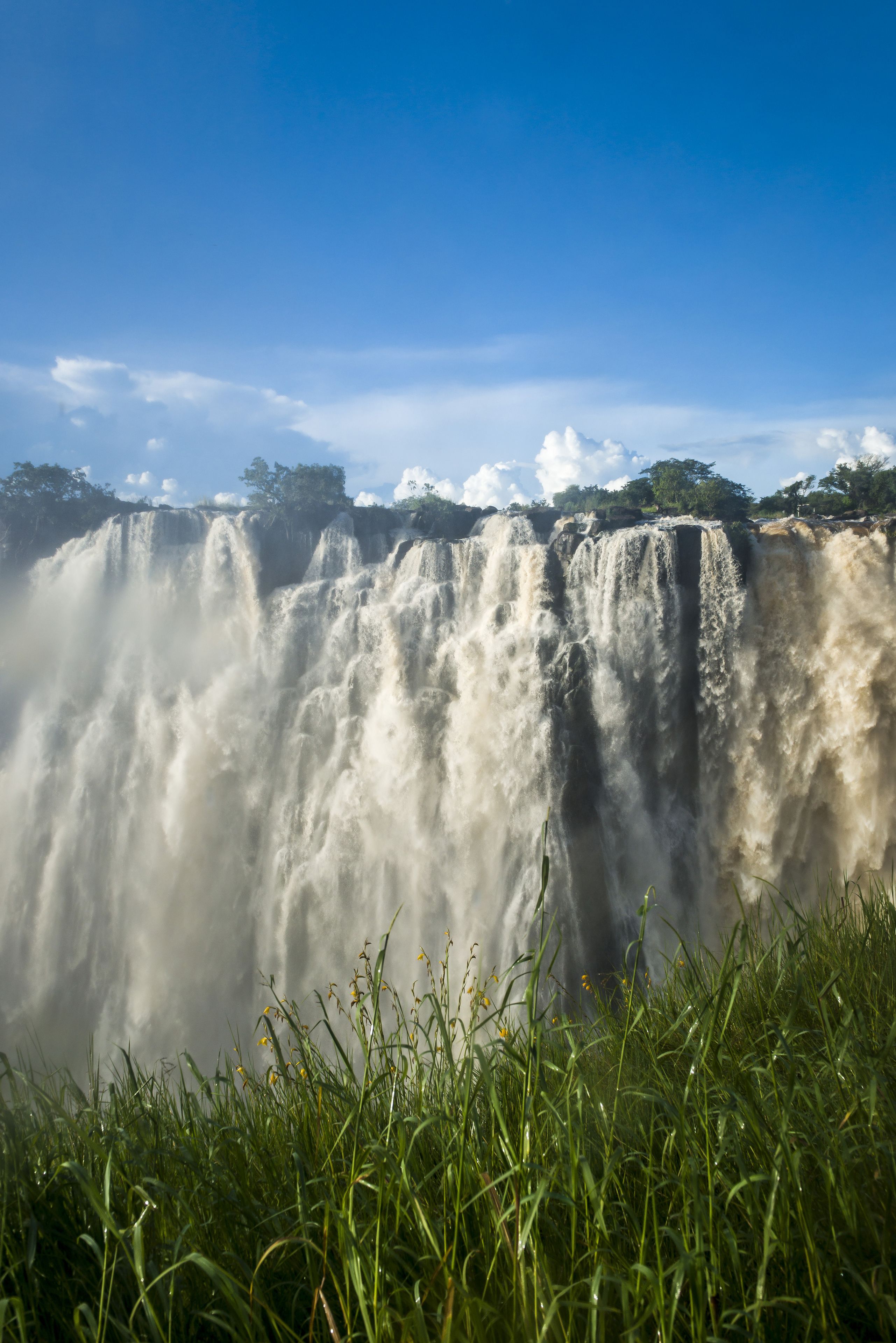 A waterfall with a grassy foreground.
