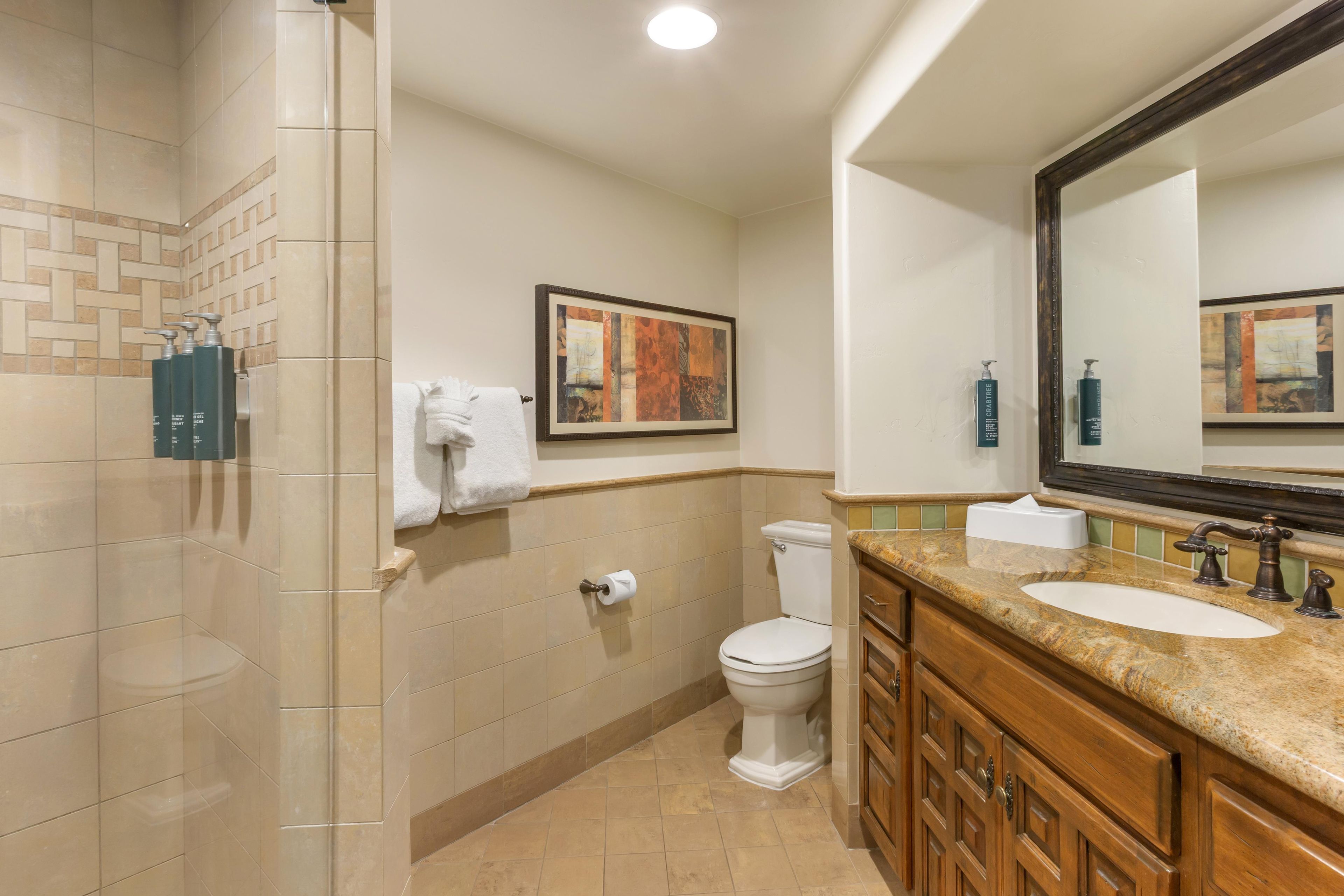 A bathroom with a shower, toilet, sink, and a large mirror.