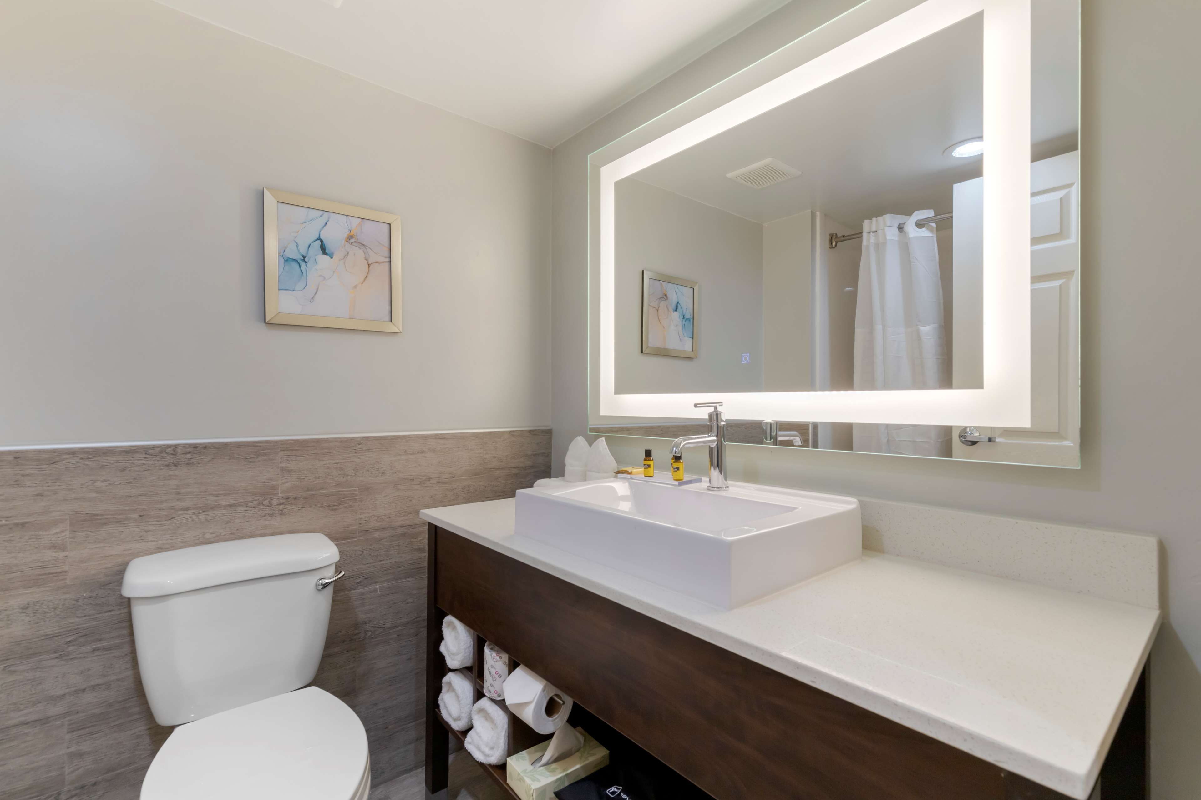 standard room, 1 king bed, non smoking, refrigerator & microwave | bathroom | free toiletries, hair dryer, towels