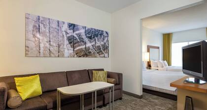 Springhill Suites By Marriott Louisville Hurstbourne North