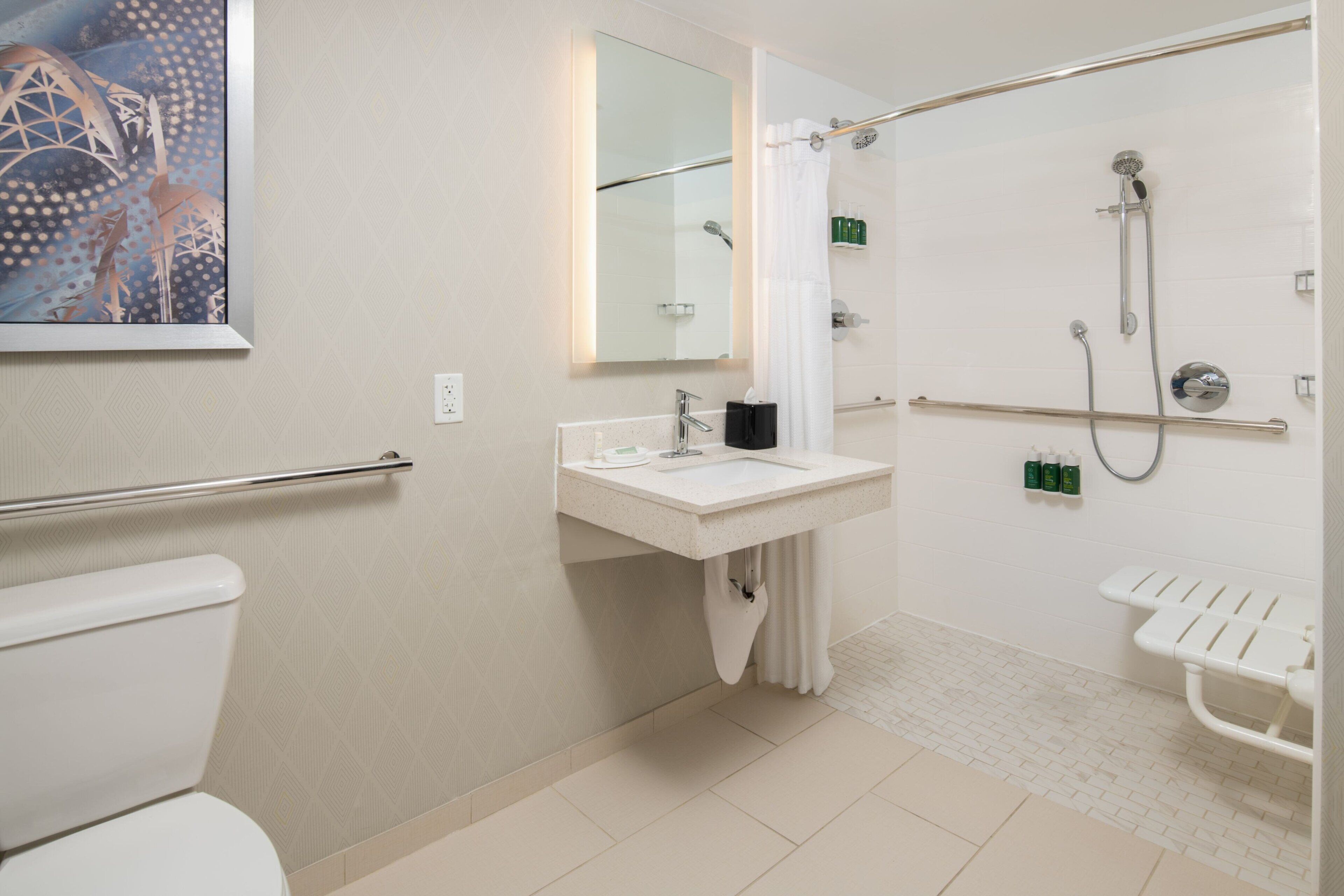 combined shower/bathtub, free toiletries, hair dryer, towels