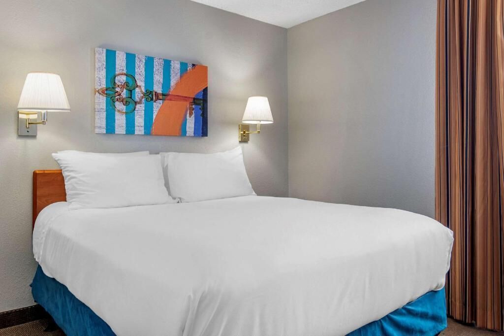 Hypo-allergenic bedding, desk, laptop workspace, blackout drapes