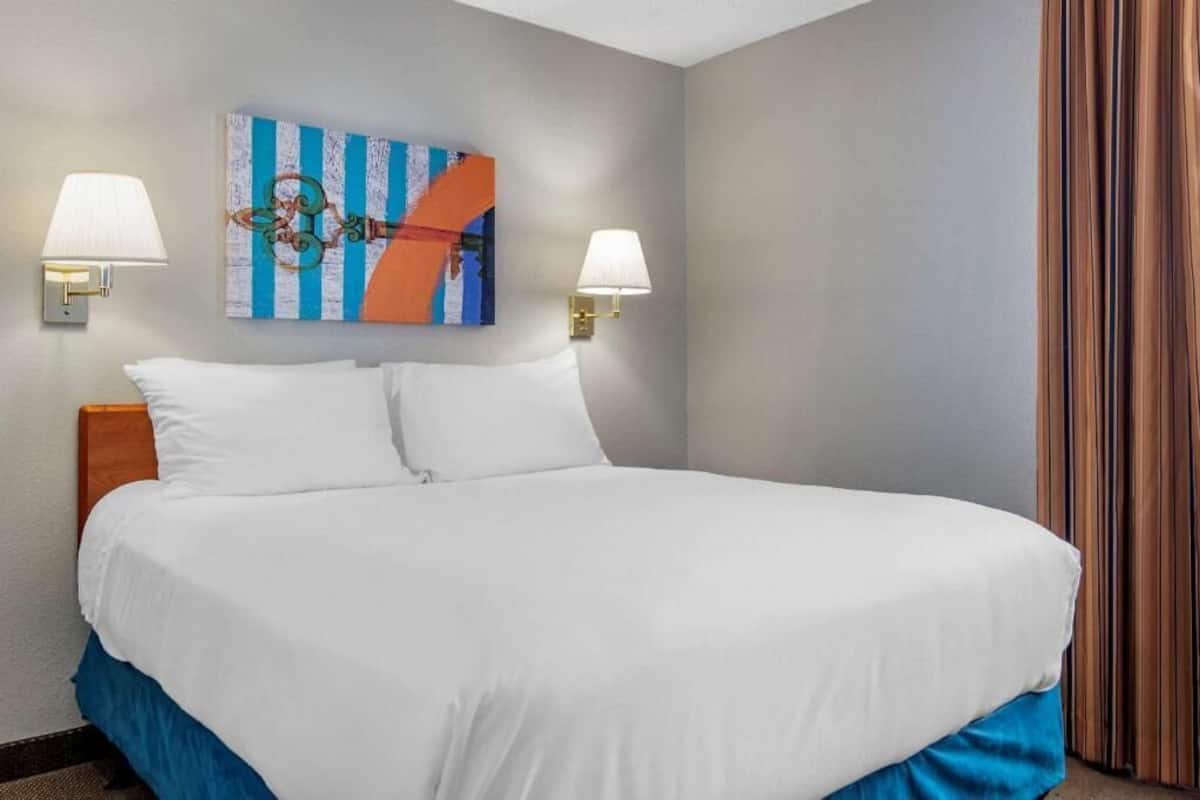 Hypo-allergenic bedding, desk, laptop workspace, blackout drapes