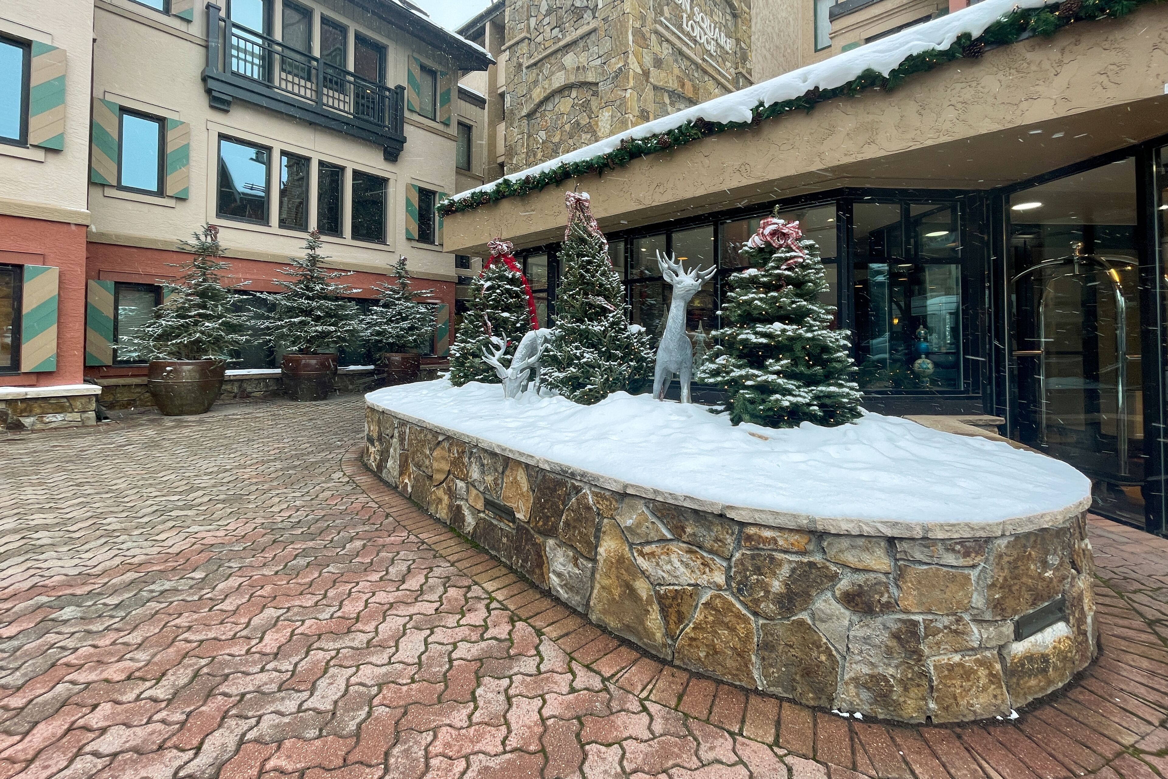 A courtyard with snow-covered Christmas trees and a stone planter.