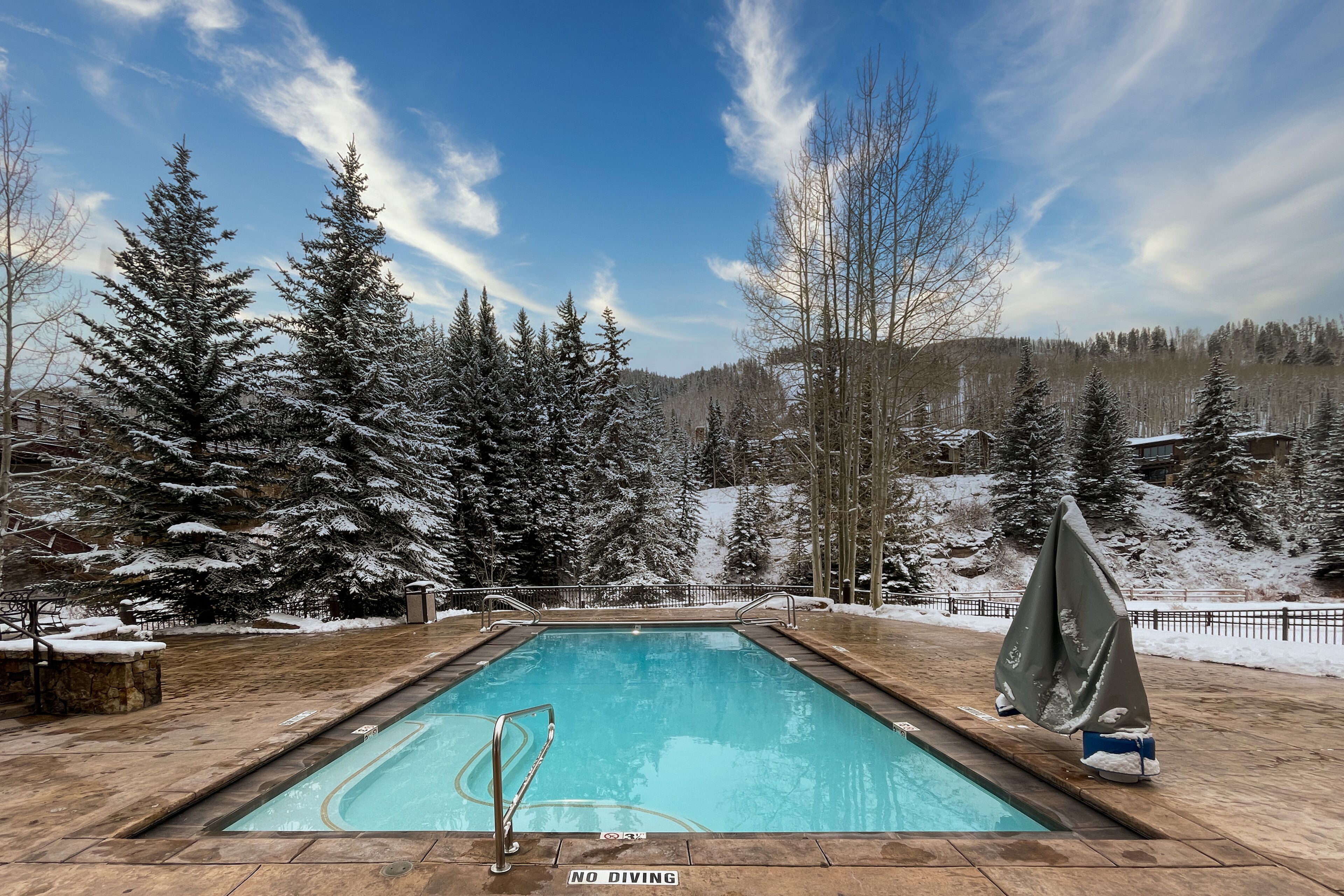 A rectangular swimming pool with a no diving sign, surrounded by snow-covered trees and a clear sky.