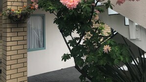 A building with a brick facade, a window with a white curtain, and a hanging flower basket. - Fenton Court Motel (Rotorua)