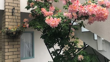 Puutarha