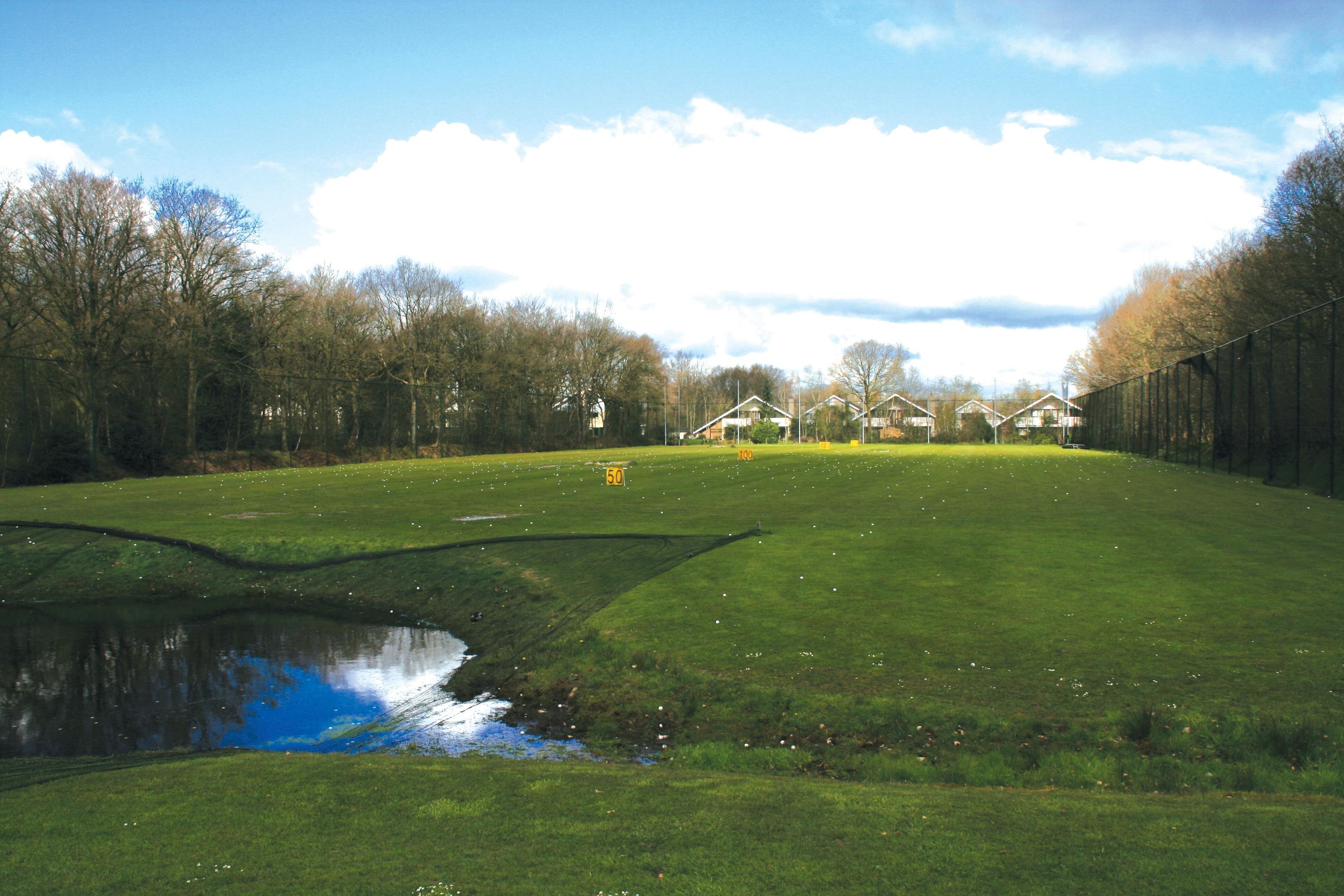 A grassy field with a small pond and houses in the background.