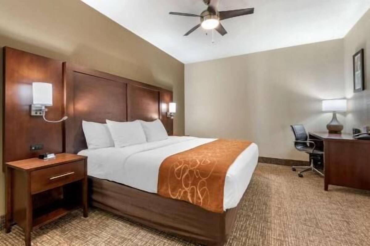 A hotel room with a bed, a desk, a chair, a ceiling fan, and a wall-mounted lamp.
