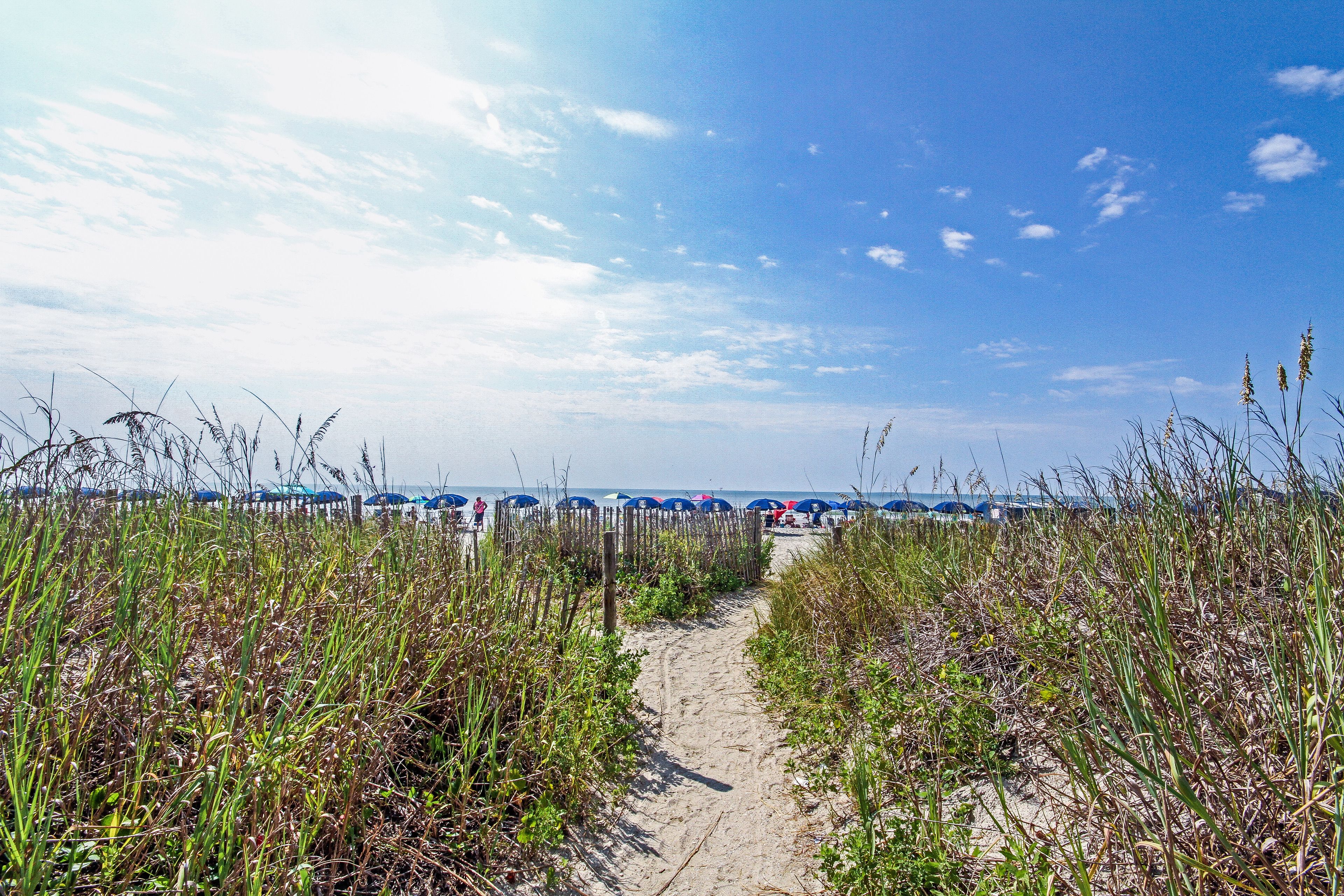 Un sentier de sable qui longe la plage et mène aux parasols, avec un ciel dégagé.