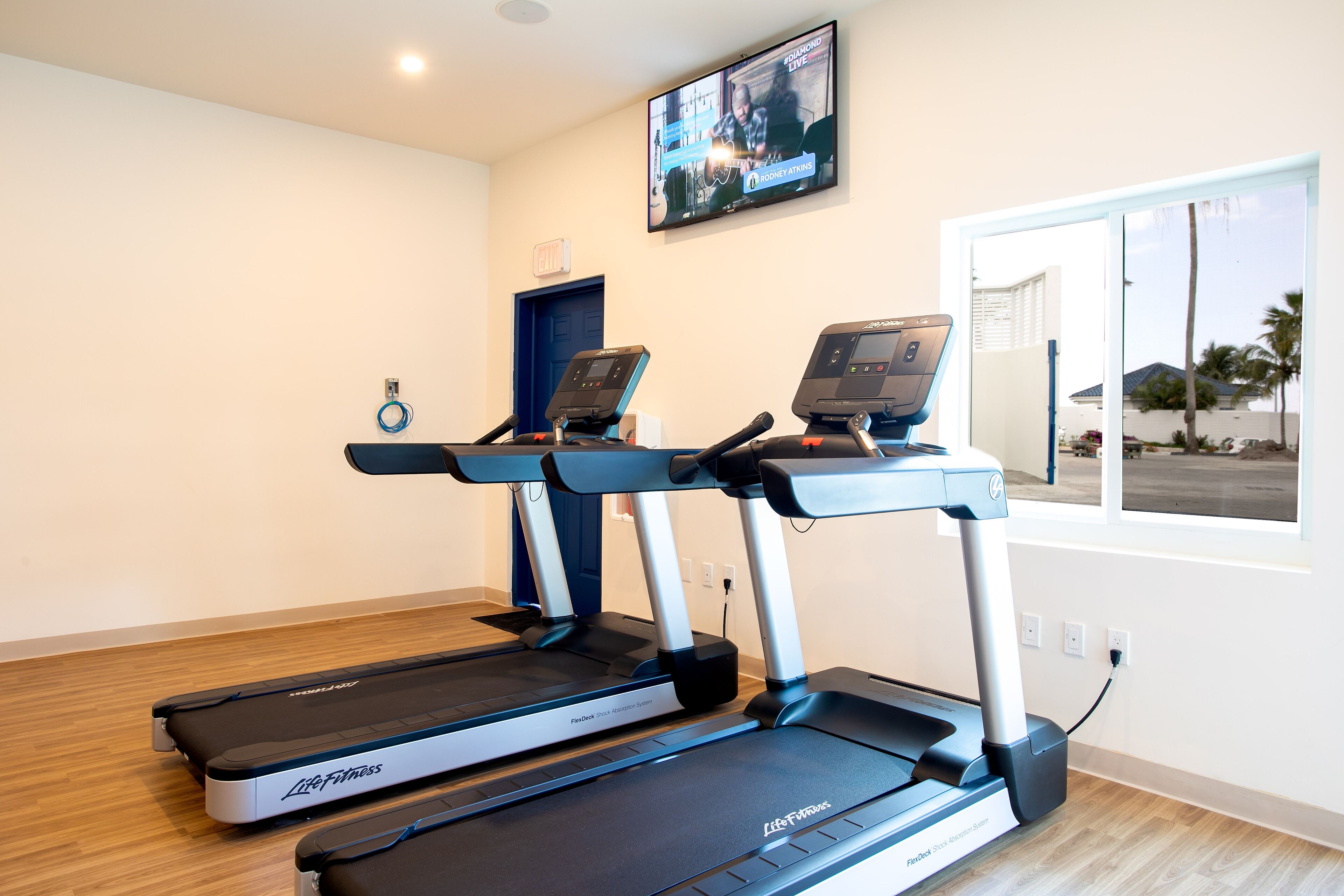 A home gym with two treadmills, a TV mounted on the wall, and a window with a view of palm trees.