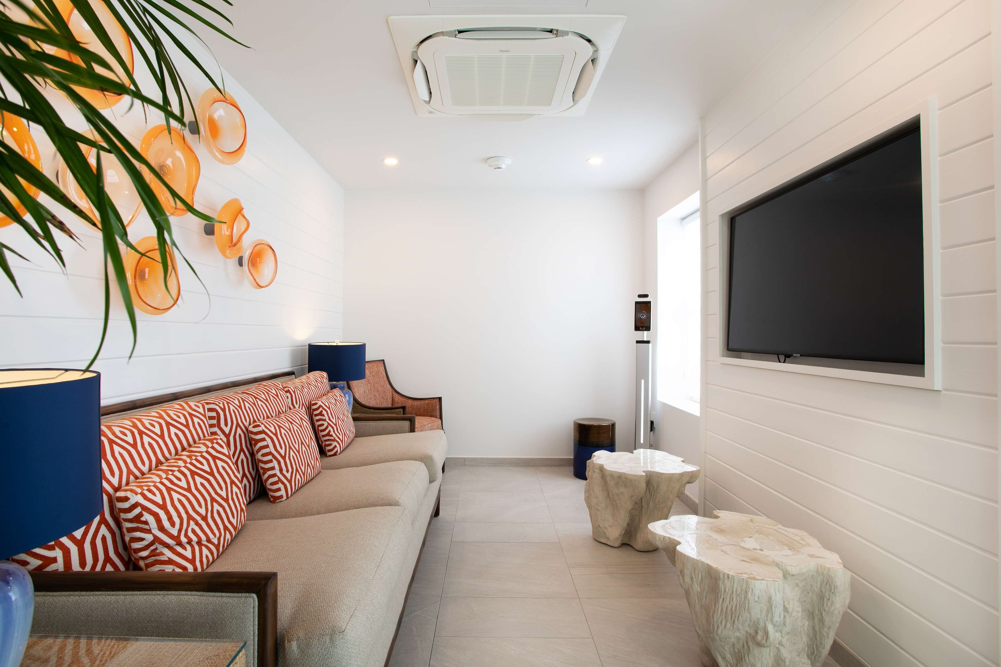 A modern living room with a sofa, a television, and decorative elements like a plant and wall art.