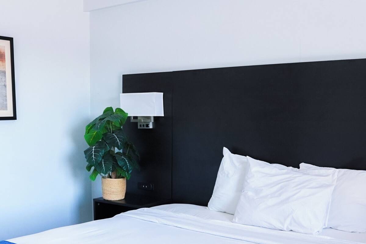 Una cama bien hecha con ropa de cama blanca y un detalle azul, un cabecero negro y una planta en maceta sobre una mesita de noche.