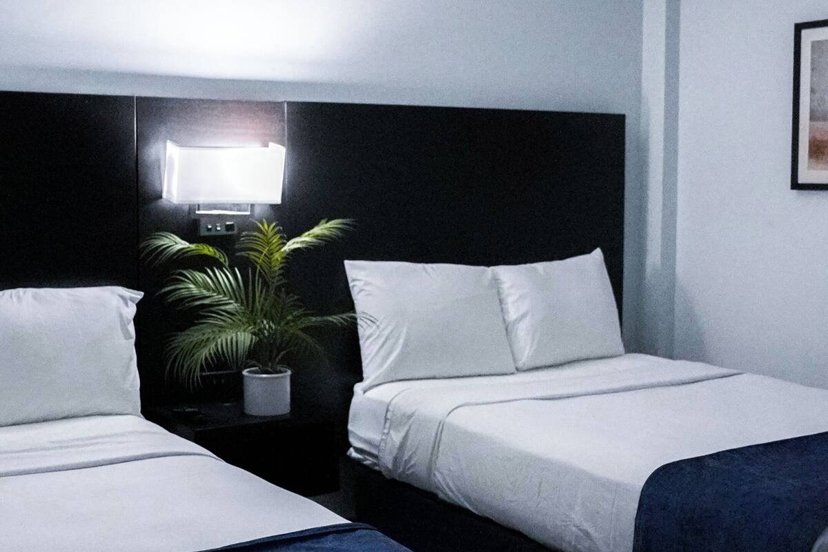 Una habitación de hotel con dos camas individuales, una mesita de noche con lámpara y una planta en maceta.