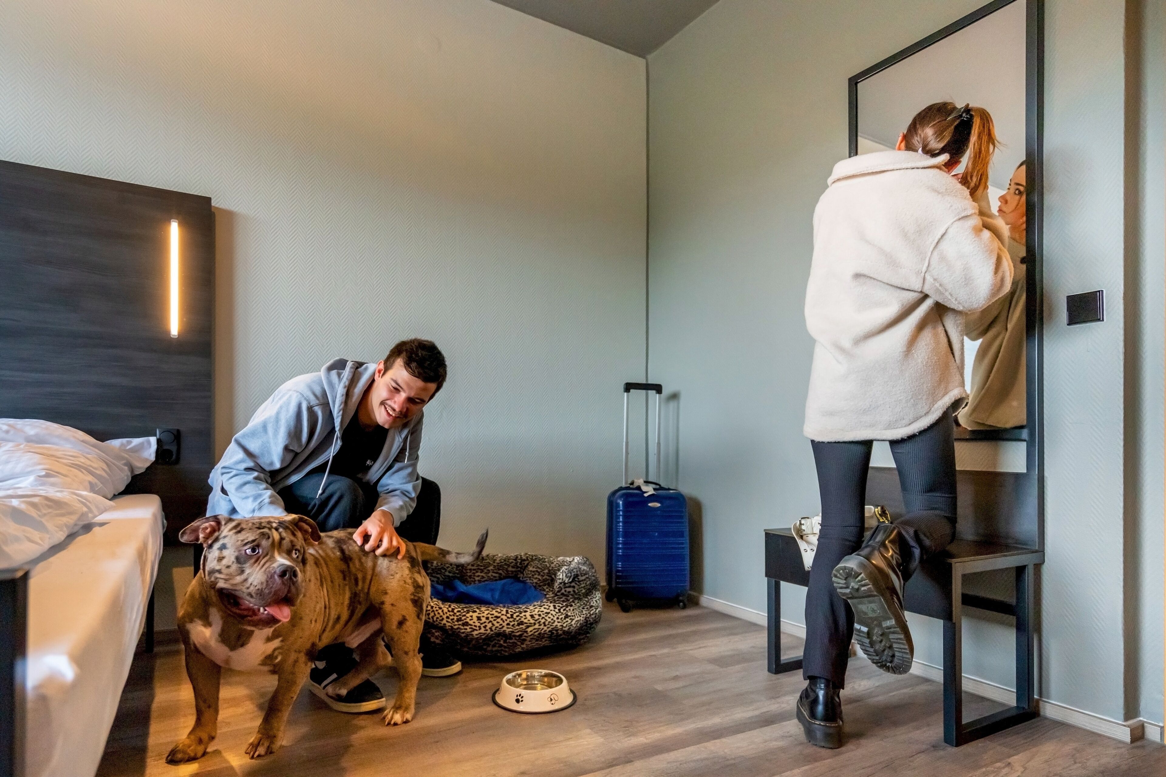A room with a bed, a dog bed, a suitcase, and a mirror.