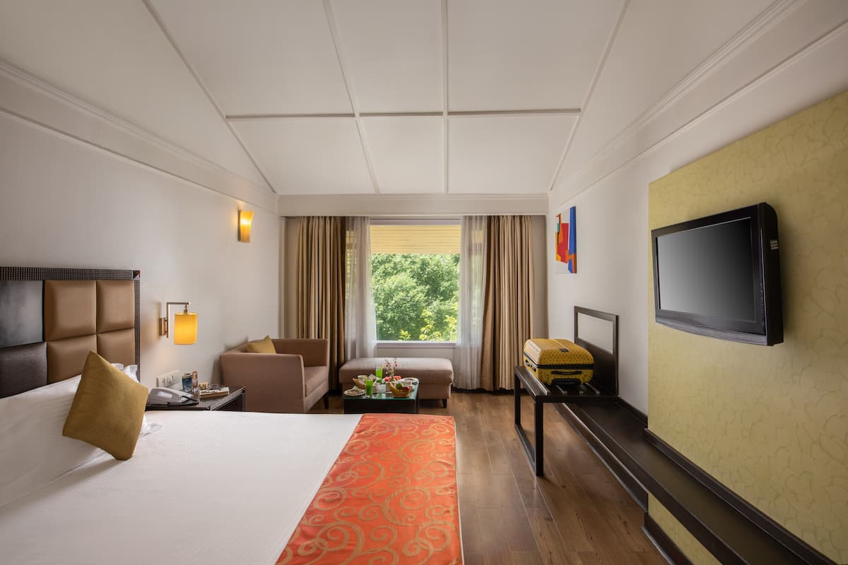 Habitación de hotel con una cama grande, un sofá, una mesita con lámpara, televisión y ventana con cortinas.
