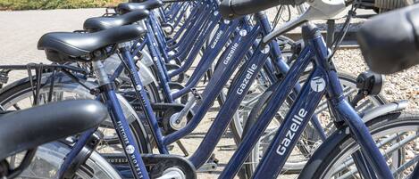 Una hilera de bicicletas azules, con el nombre de marca 'Gazelle' visible en el cuadro.