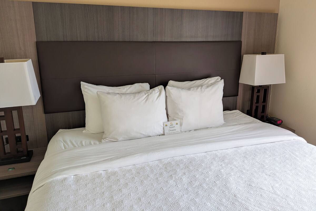 A neatly made bed with white linens and pillows, a dark headboard, and two bedside lamps.