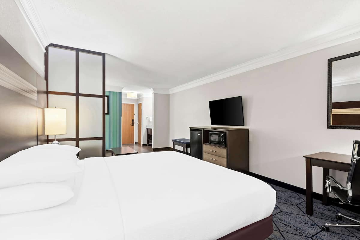 Suite, 1 King Bed, Non Smoking, Refrigerator & Microwave (with Sofabed)