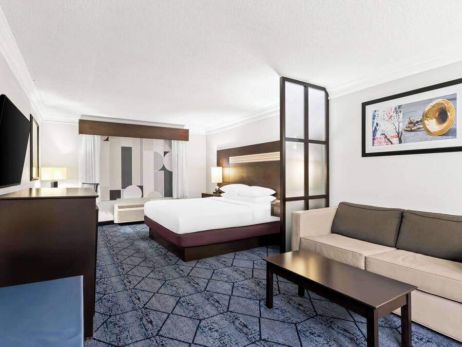 Suite, 1 King Bed, Non Smoking, Refrigerator & Microwave (with Sofabed) | Hypo-allergenic bedding, in-room safe, desk, blackout drapes