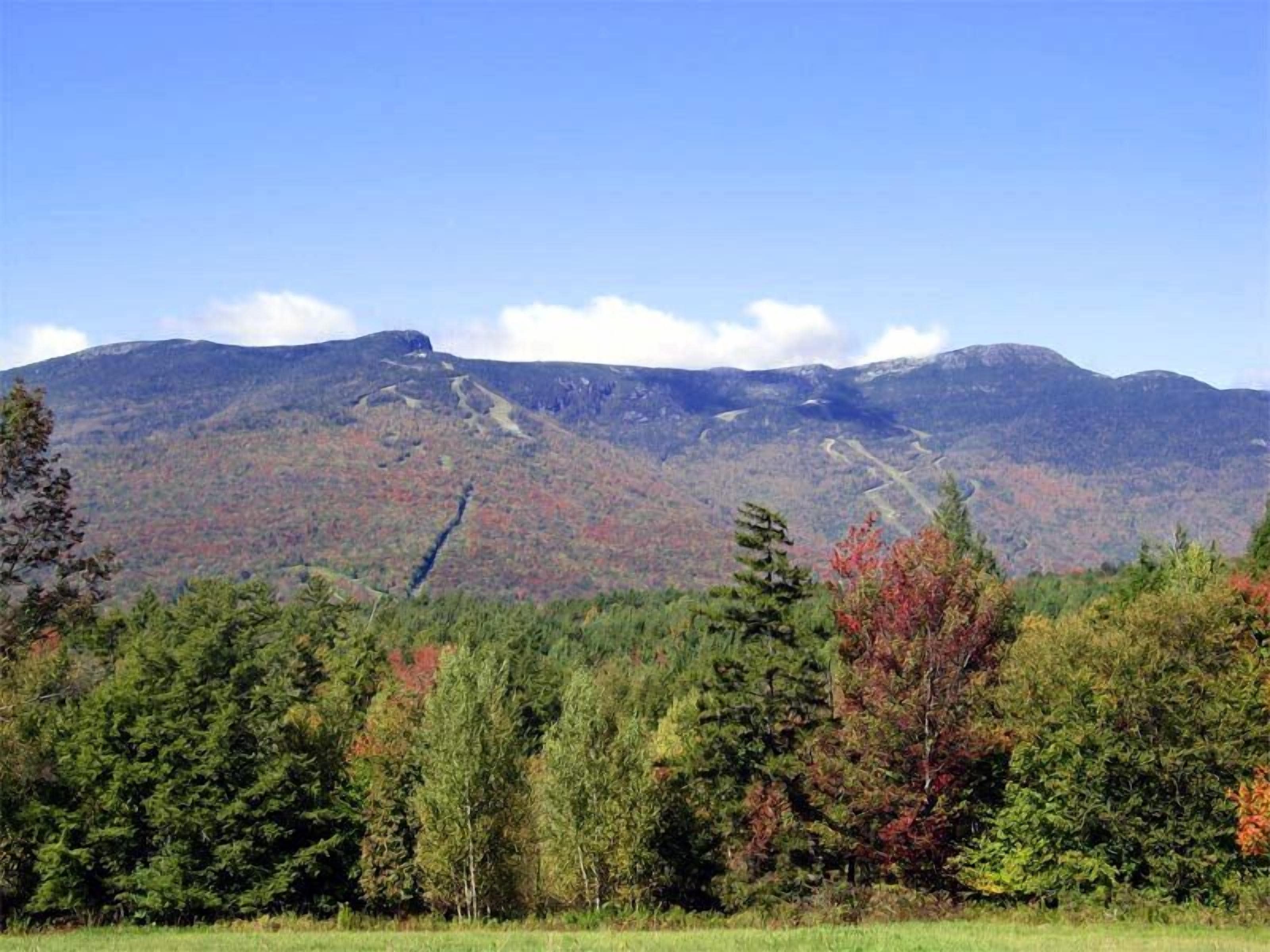 A mountainous landscape with dense forests and a clear sky.