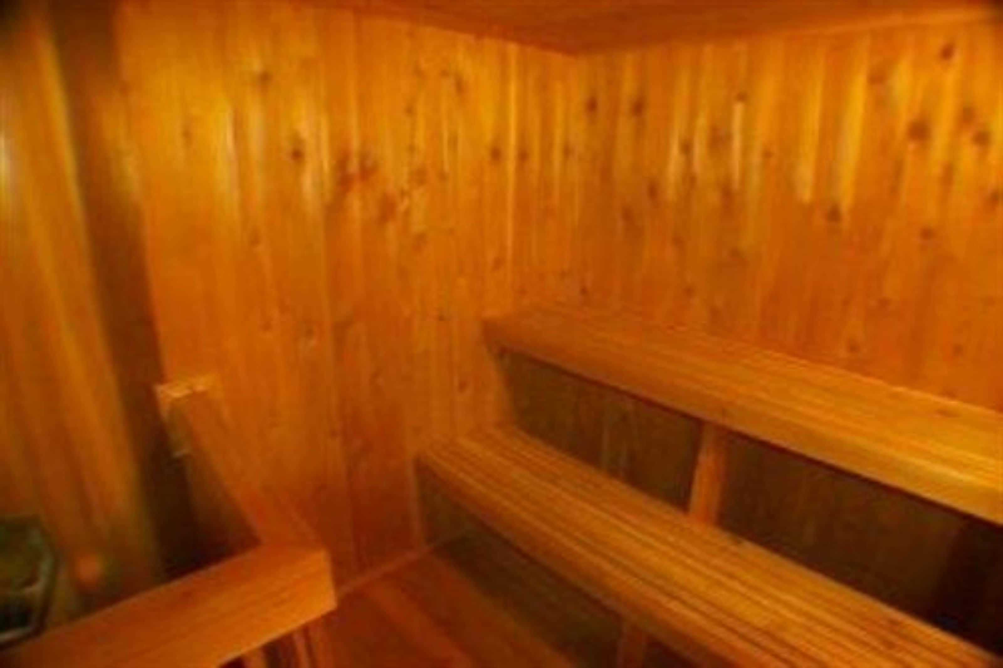 Interior de una cabaña de madera con un banco y una ventana.