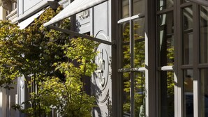A building facade with large windows and a tree in front. - Hôtel Clément (Paris)
