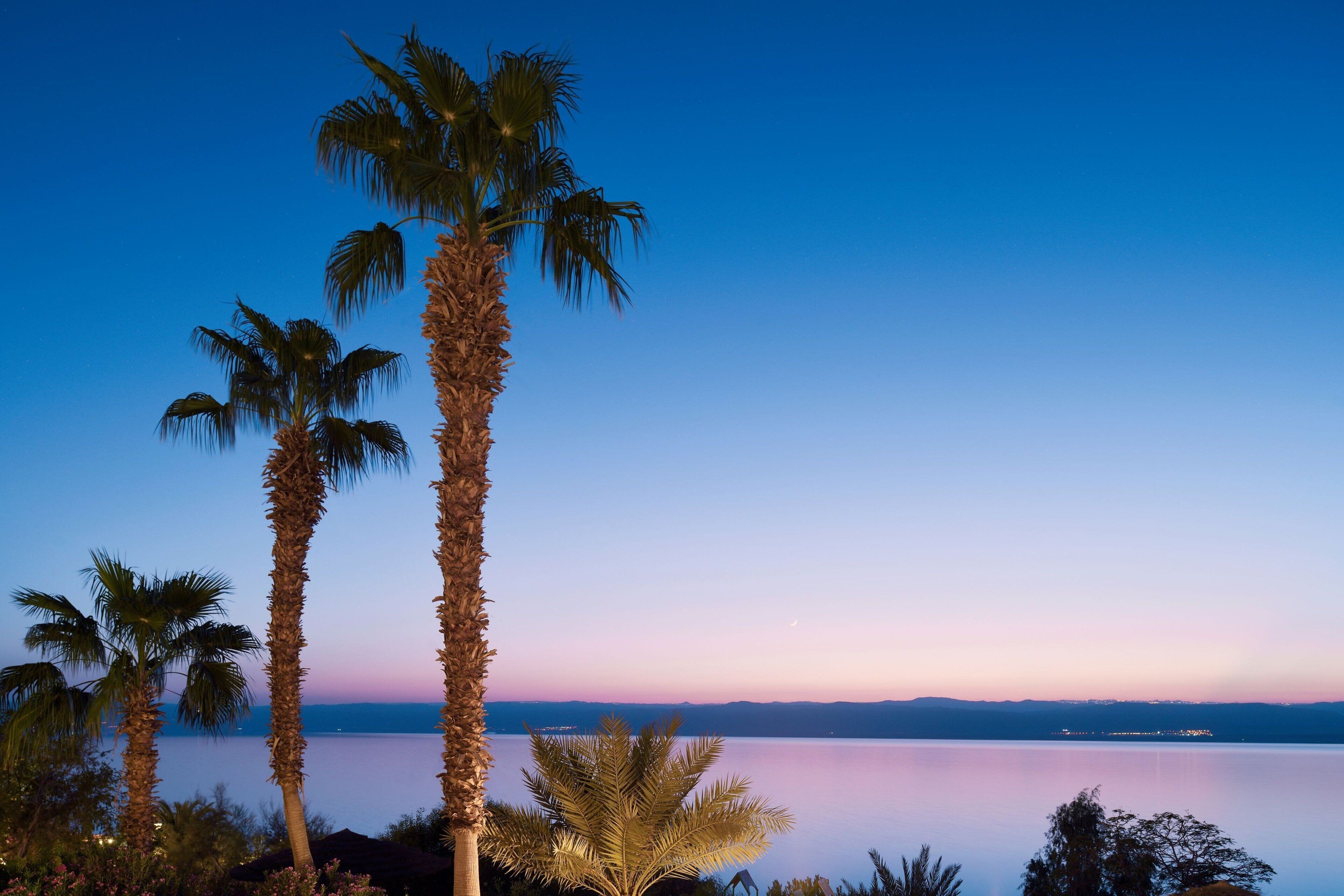 Photo - Dead Sea Marriott Resort & Spa