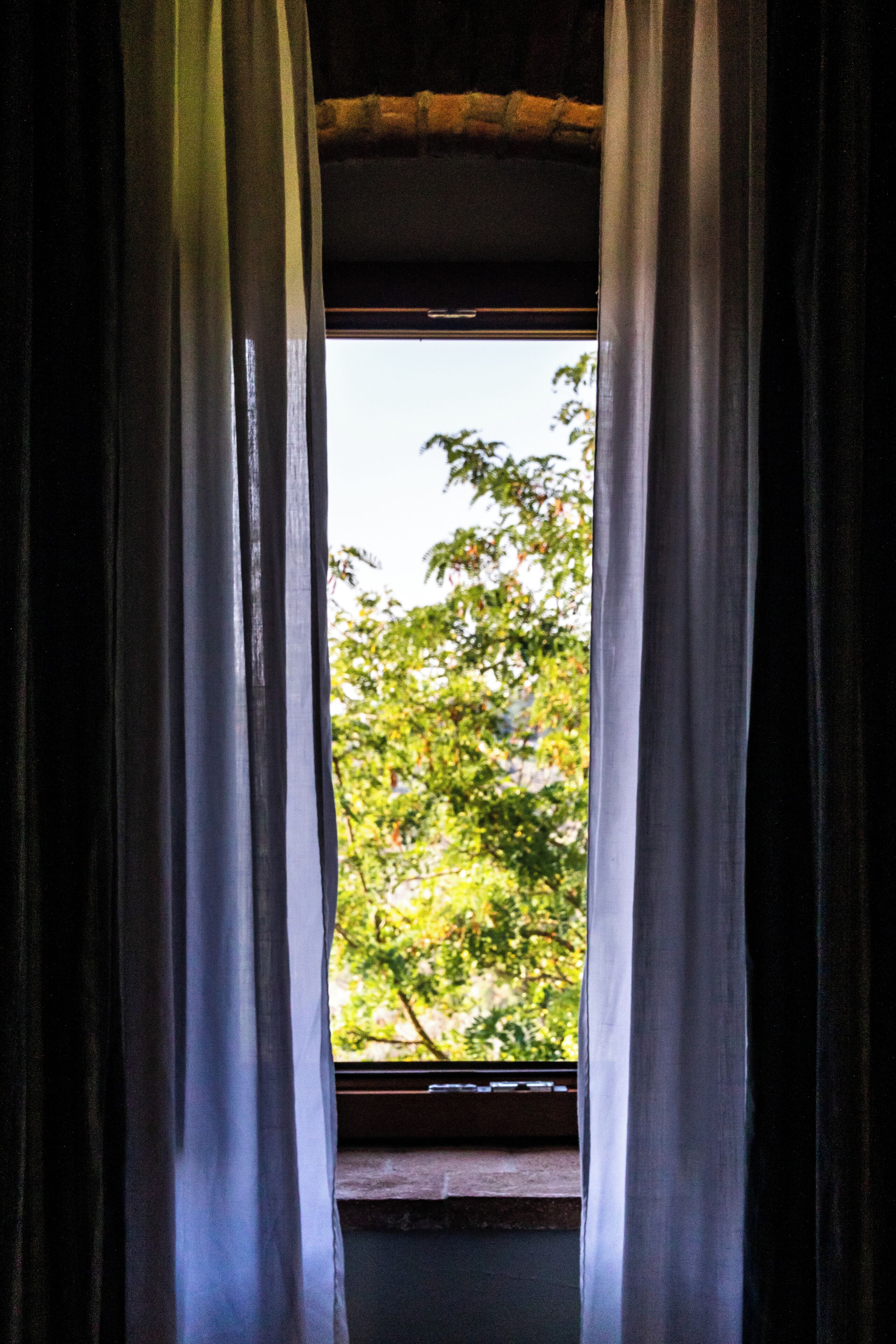 Una ventana con cortinas entreabiertas, mostrando una vista de árboles.