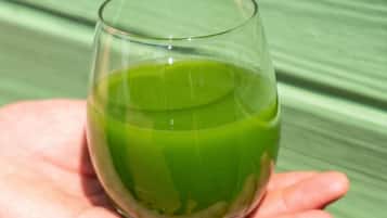 Eine Hand hält ein Glas grüner Flüssigkeit.