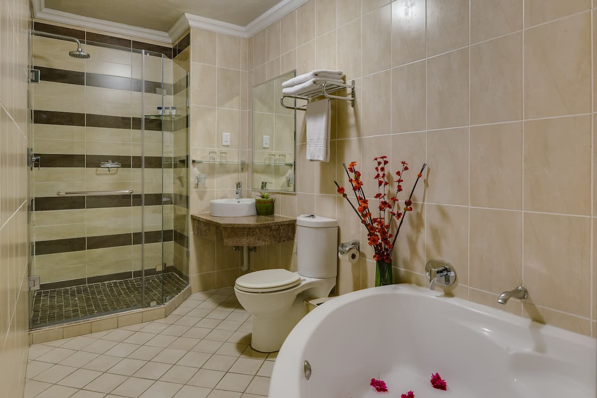 shower, free toiletries, hair dryer, towels