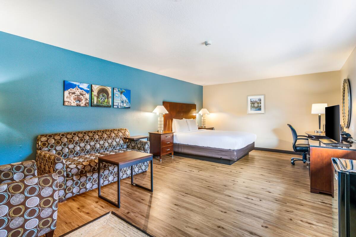 A hotel room with a bed, a sofa, a desk, and a chair.